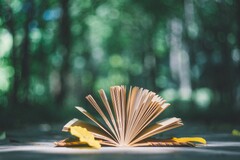 大学毕业生评语200字