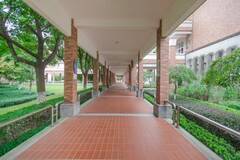 幼儿园优秀教师述职报告