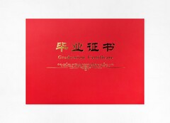 论文下一阶段工作计划