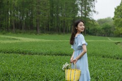 工程验收申请报告