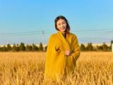 弘扬中华传统文化作文_弘扬中华传统文化作文800字优秀篇